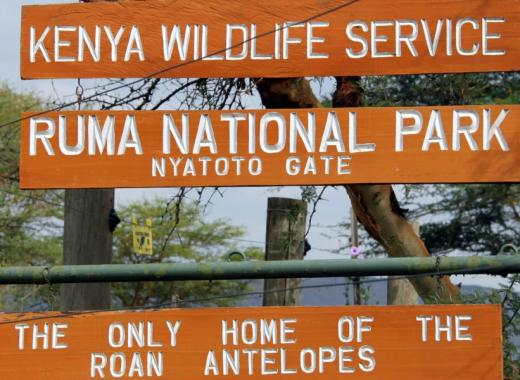 Exploring Homabay: A Hidden Gem of Kenya's Natural Beauty